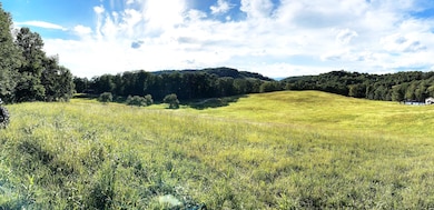 380 Rehm's Mtn Rd, Renick, WV 24966 - photo 4