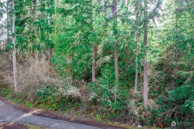 19706 199th St E, Orting, WA 98360 - photo 3