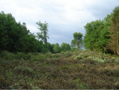 0 Isabel Cir unit 4861020, Montpelier, VT 05602 - photo 3