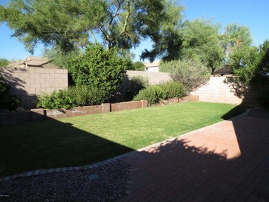 Back yard