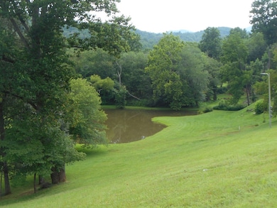 17 Misty Meadow Ln, Franklin, NC 28734 - photo 4