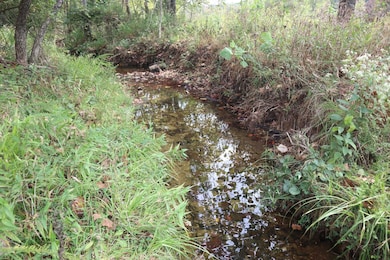 253 Coyote Rd, Salem, AR 72576 - photo 3