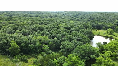 000 E Flick Ave, Worthington, MO 63561 - photo 4