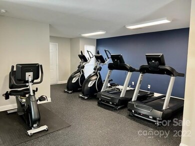 28 Hamiltons Harbor Dr unit 942, Lake Wylie, SC 29710 - photo 5