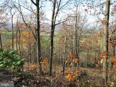 0 Brenwood unit 1000137653, Stanley, VA 22851 - photo 6