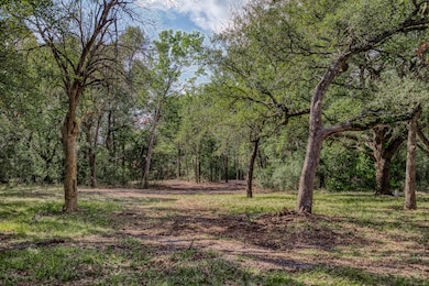 Tract 4 Sun Oil Rd, Brenham, TX 77833 - photo 6