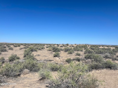 160 Acres Off of McGregor, Fallon, NV 89406 - photo 2