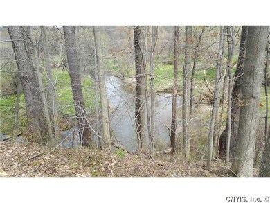 Backyard. NINE MILE CREEK RUNS THROUGH BACK OF PRO