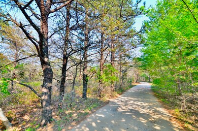 3 Briarwood Ln, West Tisbury, MA 02575 - photo 4