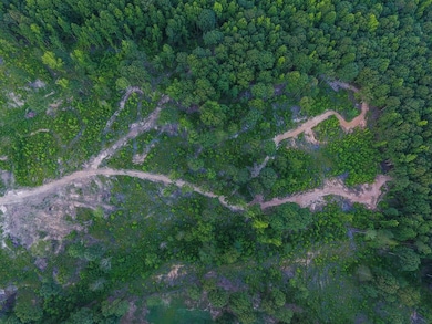 0 Roy Dean Rd unit 24150079, Buchanan, GA 30113 - photo 4