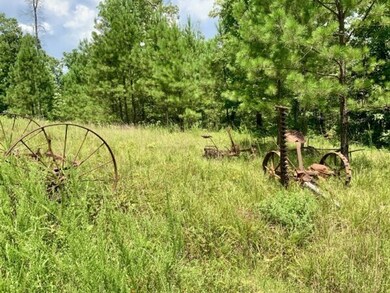 0 Bear Creek Rd unit 24203453, Waverly, TN 37185 - photo 3