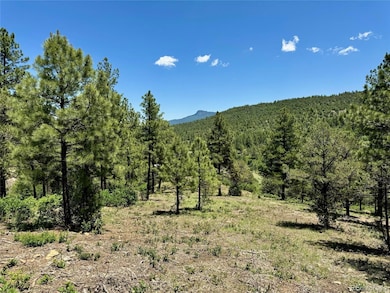 33161 Gallinas Pkwy unit D24, Trinidad, CO 81082 - photo 4