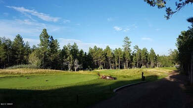20150910_172729_resized
