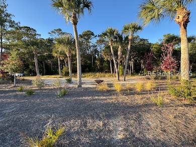 21 Pine Island Rd, Bluffton, SC 29910 - photo 4