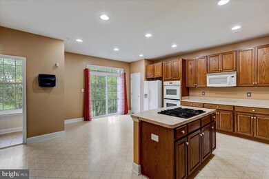 519 Spectator Ave, Hyattsville, MD 20785 - photo 6