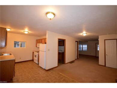 479 Vine St, Geneva, OH 44041 - photo 5