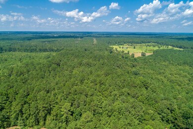 Drone View (8 of 22)