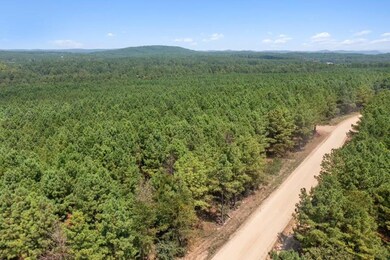 411 Kaisley Blue Eye Way, Broken Bow, OK 74728 - photo 4