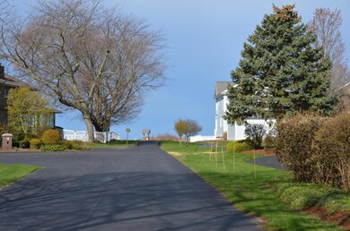 DSC_7295