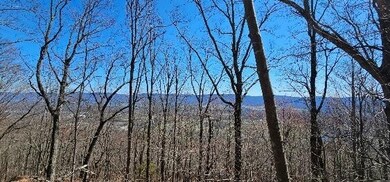 1 S Vista View Dr, Dunlap, TN 37327 - photo 4