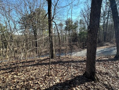 0 Buttermilk Falls Rd unit 156376, Catskill, NY 12414 - photo 5