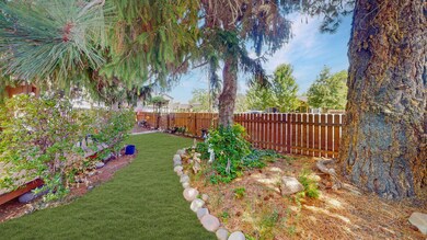Front/side yard