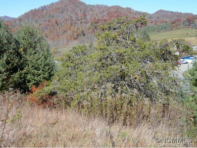 2921 W Us Highway 19e, Burnsville, NC 28714 - photo 7