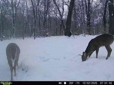 9720 Airport Rd, Beardstown, IL 62618 - photo 6