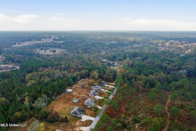 458 Old Richburg Rd, Purvis, MS 39475 - photo 7