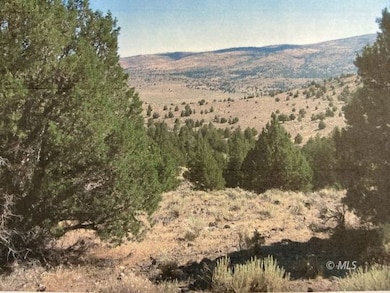 0 Tuledad Canyon unit 2906696, Termo, CA 96132 - photo 4