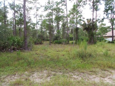 2111 Truman Ave, Alva, FL 33920 - photo 2