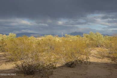 6-web-or-mls-Baylee-6