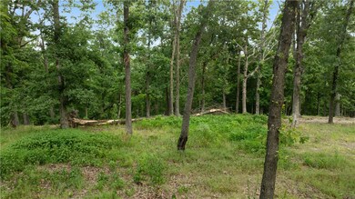 All Lots Esculapia Hollow Rd, Rogers, AR 72758 - photo 6