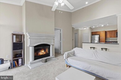 12917 Centre Park Cir unit 412, Herndon, VA 20171 - photo 7