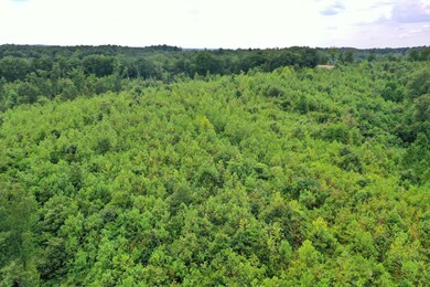 0 Highway 128 unit 2183113, Linden, TN 37096 - photo 5