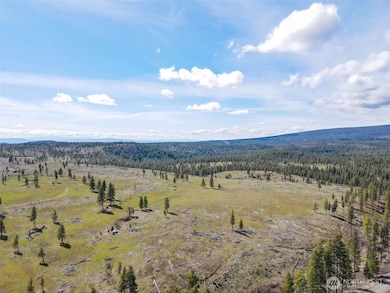 0 Lot 3 Box Canyon Rd, Goldendale, WA 98620 - photo 2