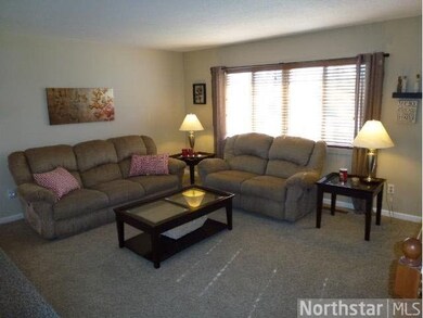 6592 Jonquil Way, Maple Grove, MN 55369 - photo 6