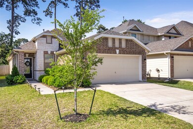 10922 Sun River Falls Dr, Humble, TX 77396 - photo 3