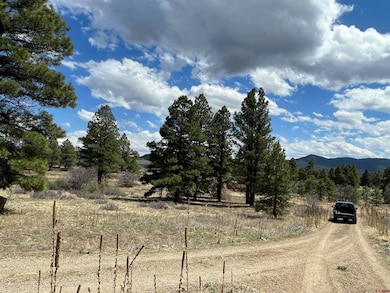 21 Eiffel Ct, Pagosa Springs, CO 81147 - photo 5