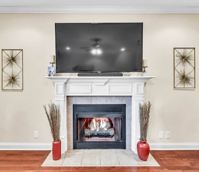 3341 Franklin Meadows Way, Clarksville, TN 37042 - photo 4