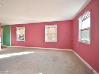 7340 Cadle Ave, Mentor, OH 44060 - photo 7