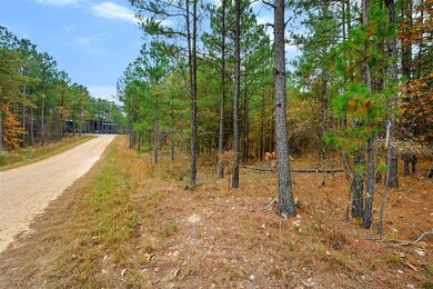 295 Hochapine Trail, Broken Bow, OK 74728 - photo 6