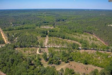 tbd Mack St, Gaston, SC 29053 - photo 4