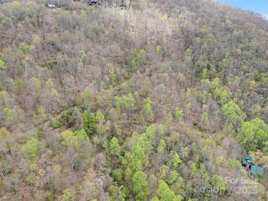 0 Laurel Ridge Dr unit CAR4250999, Waynesville, NC 28786 - photo 7