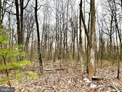 Lot 4 N Timber Ridge Rd, Cross Junction, VA 22625 - photo 6