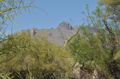 Mtn view