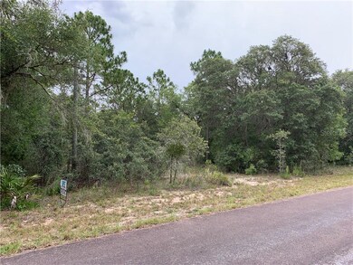 1627/1663 E Naperville Ln, Hernando, FL 34442 - photo 4