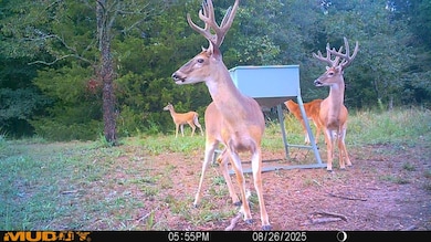 SW 1070 Ave, Higgins, OK 74531 - photo 3