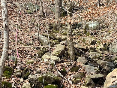 10356 County Road 17, Woodville, AL 35776 - photo 5