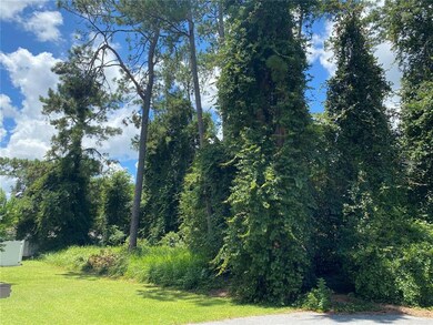 View of east side of lot